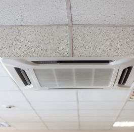 Click Here To View Larger Image